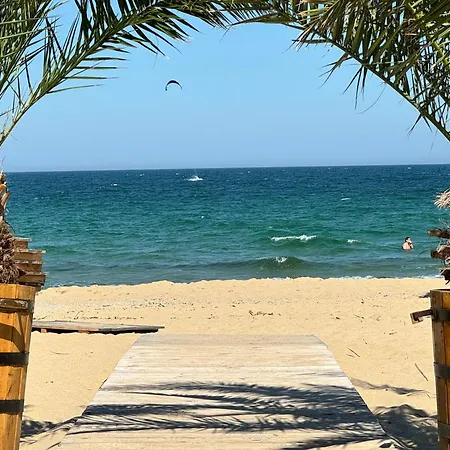 Sunshine Шкорпиловци