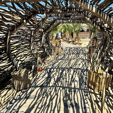 Sunshine * Шкорпиловци